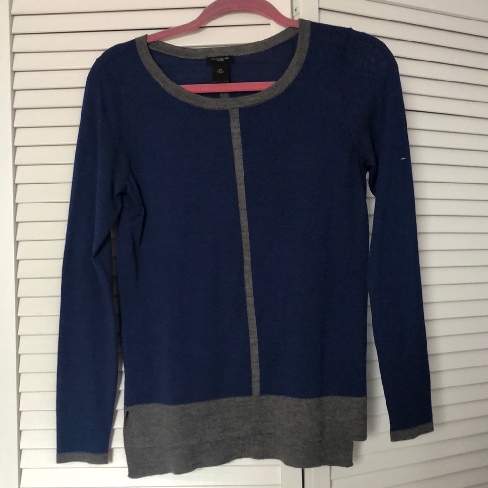 Blue and grey Petite Ann Taylor sweater